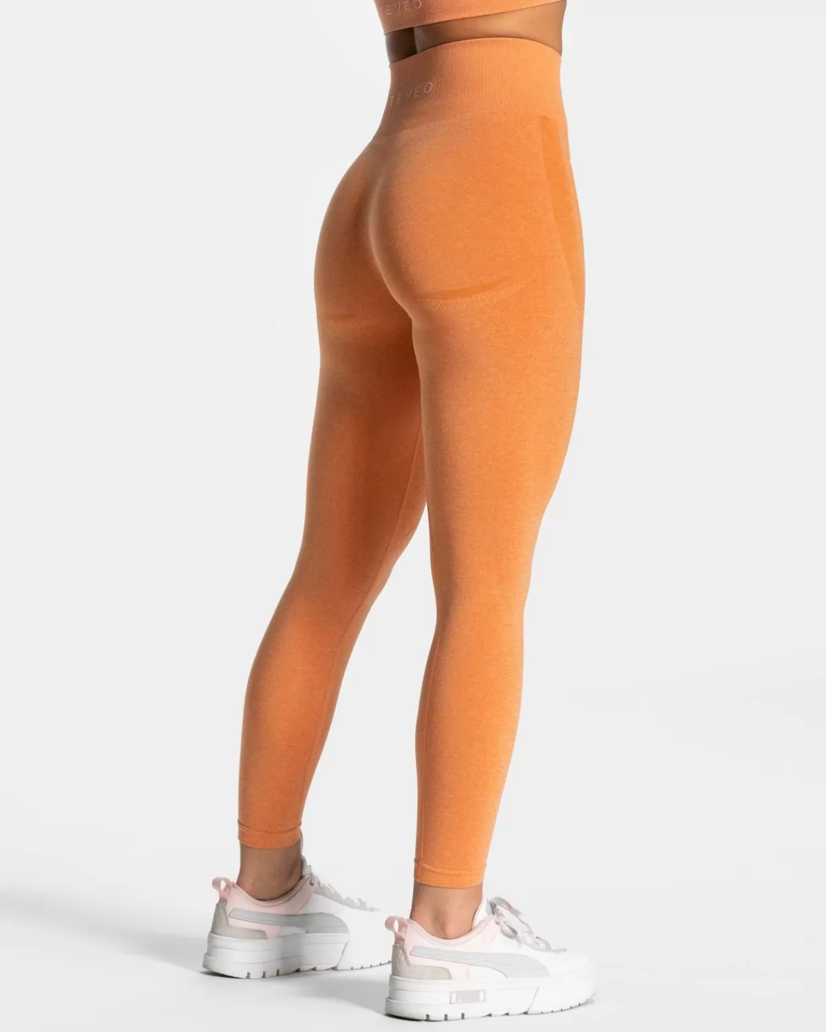 TEVEO Evolution V2 Leggings "Orange" Shop